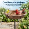 imageVIVOHOME Bird Bath for Outside Outdoor 13 Birdbath Bowl with Metal Ground Stake WeatherResistant ABS Bird Bath and Feeder for Garden 145 Gallons BronzeBronze