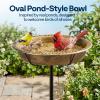 imageVIVOHOME Bird Bath for Outside Outdoor 13 Birdbath Bowl with Metal Ground Stake WeatherResistant ABS Bird Bath and Feeder for Garden 145 Gallons BronzeCopper