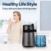 image:imageVIVOHOME Black 3 in 1 Stand Mixer with 6 Quart Bowl 650W 6 Speed Tilt Head Meat Grinder and Juice Blender and Black Water Distiller 16 Gallon 6L 900W with Smart Switch